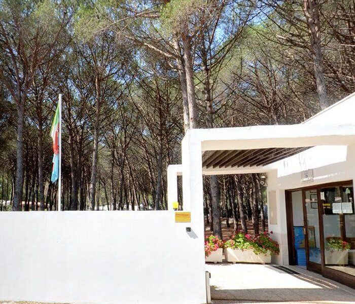 Camping Village Spinnaker - Camping Village Spinnaker Camping Village Spinnaker - Camping Village Spinnaker